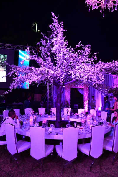 Wedding of Toni Akar